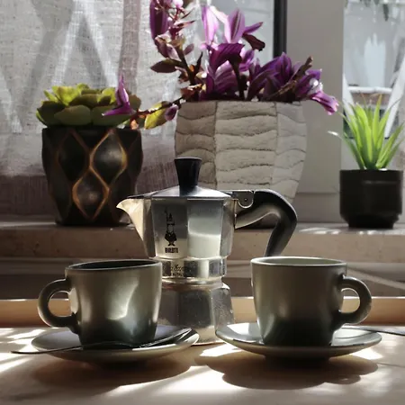 Luminoso E Accogliente Con Giardino - Battistini